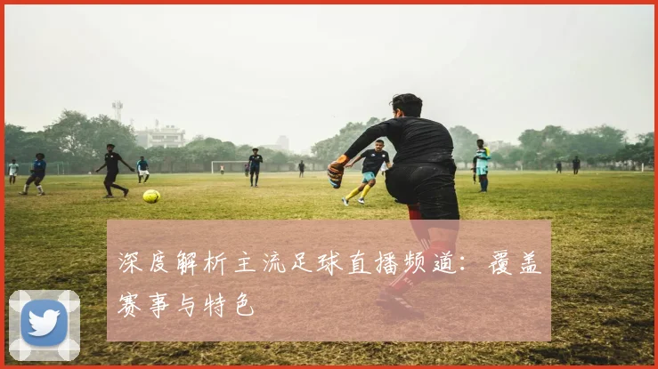 深度解析主流足球直播频道：覆盖赛事与特色