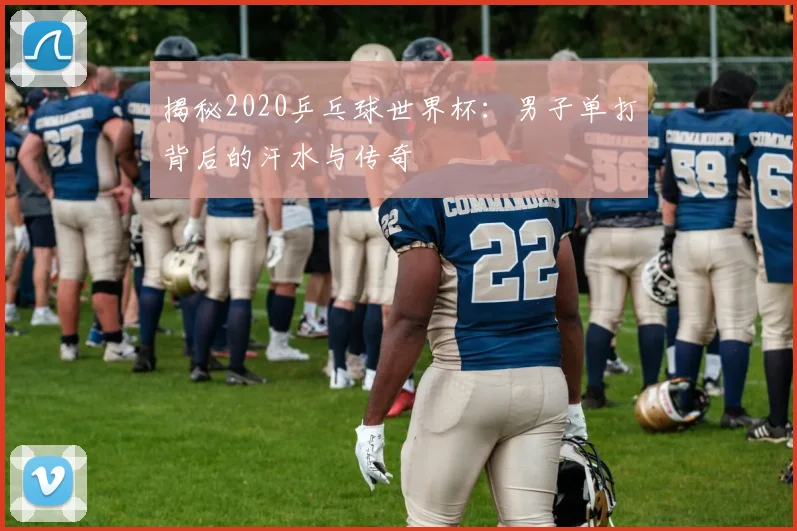 揭秘2020乒乓球世界杯：男子单打背后的汗水与传奇