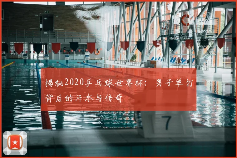 揭秘2020乒乓球世界杯：男子单打背后的汗水与传奇