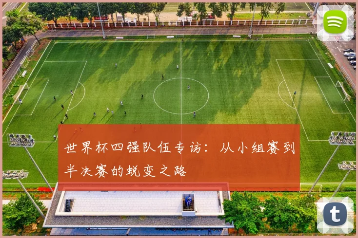 世界杯四强队伍专访:从小组赛到半决赛的蜕变之路