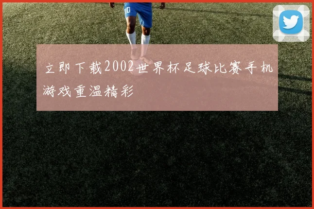 立即下载2002世界杯足球比赛手机游戏重温精彩