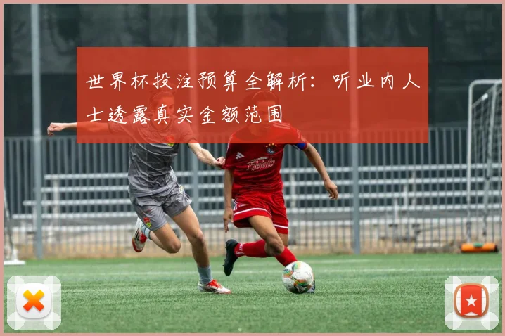世界杯投注预算全解析：听业内人士透露真实金额范围