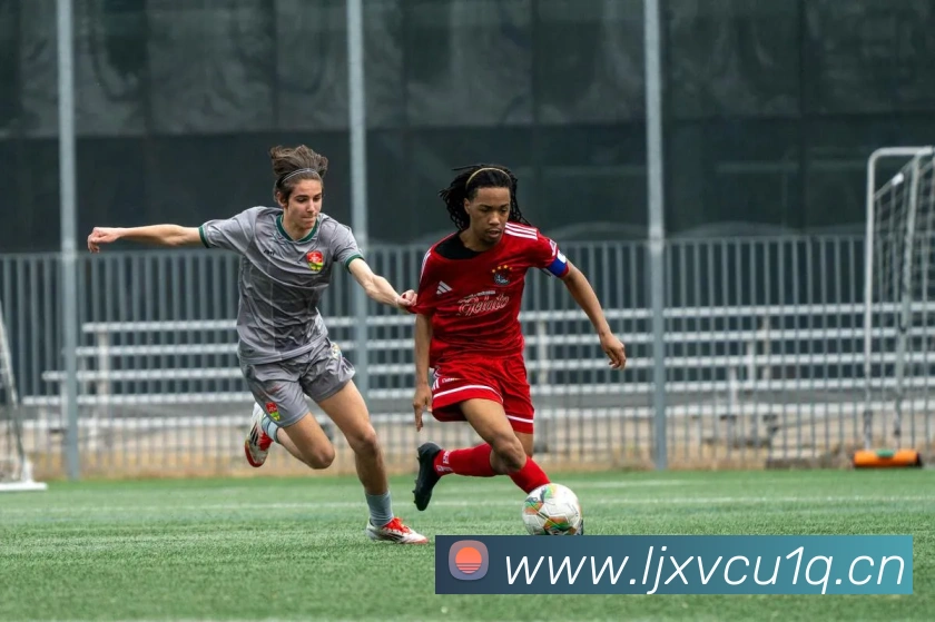 开云app官方下载苹果版APP 封面图